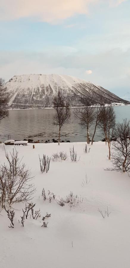 Risoyhamn Lykkebo, Skjoldehamnveien 1151, Nygard, Andoyヴィラ エクステリア 写真